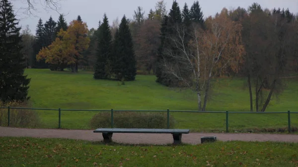 朝の光の中で公園のベンチ。公園の孤独な木製のベンチ。川のそばの木の下のベンチ. — ストック写真
