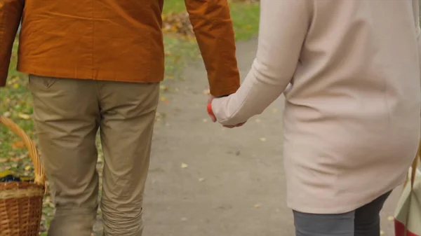 Pareja enamorada camina por el parque y tómate de la mano. Amantes sosteniendo sus manos. Al aire libre de pareja joven en el amor caminando por el camino a través del campo de hierba. Hombre y mujer caminando a lo largo del campo de hierba . —  Fotos de Stock