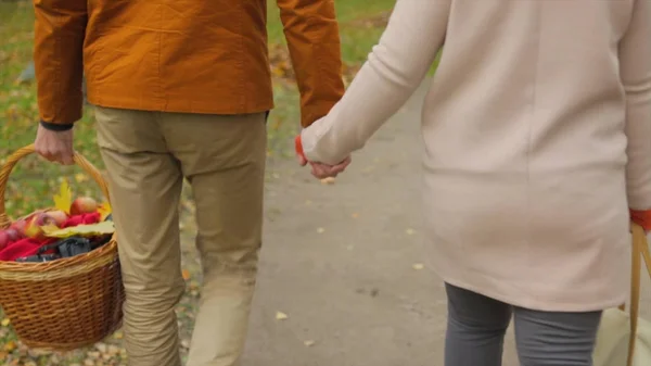Para zakochanych spacer w parku i trzymać ręce. Trzymając się za ręce ich miłośników. Młoda para w miłości spaceru na szlaku przez pole trawa na zewnątrz. Mężczyzna i kobieta spaceru wzdłuż pola trawy. — Zdjęcie stockowe