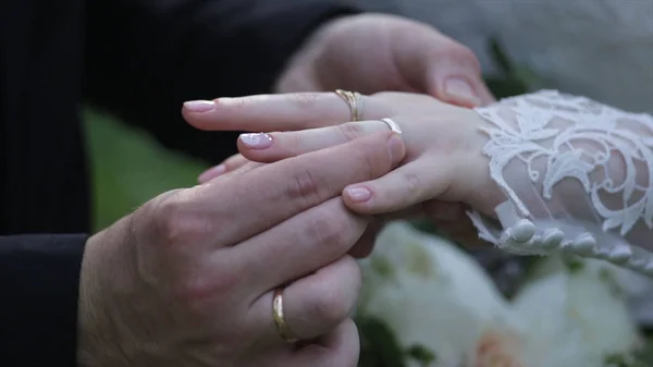 Невеста носит кольцо на пальце жениха. Жених надел обручальное кольцо на палец невесты. брачные руки с кольцами. птица носит кольцо на пальце жениха — стоковое фото