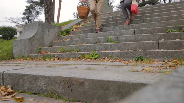 Un par de escaleras abajo en el parque. Pareja enamorada escaleras abajo hecha de piedra cogida de la mano. Joven pareja hermosa, abajo de las escaleras, tomándose de las manos . — Foto de Stock