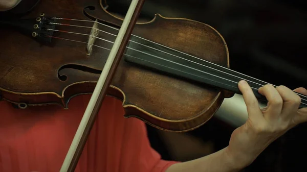 Le ragazze mettono le corde di un violino. Ragazze mano sulla tastiera violino . — Foto Stock