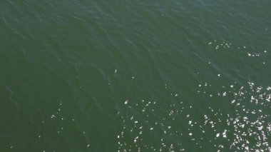 Güneş ışığı altında su yansıması. Göl günbatımı kırsal alanda. denizin güneşin yansıması