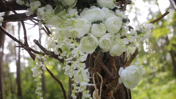 Preciosas rosas blancas de arbusto. Flores blancas ornamentales en sol brillante. Rosas tiernas en el jardín.Hermosas rosas con hojas verdes y espinas.Dos brotes de flores de un perro-rosa blanco de cerca. Hermoso bokeh —  Fotos de Stock