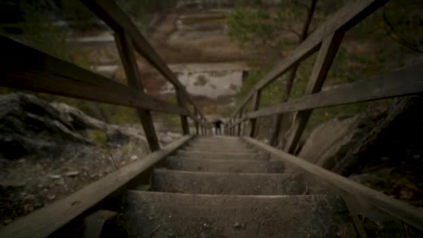 Hombre hombre subiendo escaleras. Filmación. Los antiguos escalones de madera en una colina que se eleva a cada lado de la hierba. Escaleras de madera en una colina de hierba — Vídeos de Stock