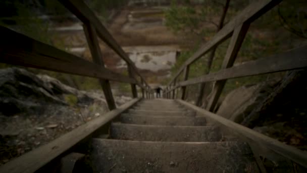 Człowiek człowiek będzie się schody. Materiał filmowy. Starych drewnianych schodkach na wzgórzu rośnie na każdej stronie trawie. Drewniane schody się trawa hill — Wideo stockowe