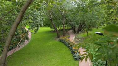 Şehir Parkı günbatımı zaman. Peyzaj çim alan ve yeşil çevre Parkı kullanım doğal arka plan olarak. Büyük şehir parkı alanında yeşil çimen