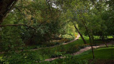 Büyük şehir parkı yeşil çim alanı. Peyzaj çim alan ve yeşil çevre Parkı kullanım doğal arka plan olarak. Güzel yeşil Şehir Parkı