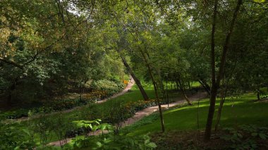 Büyük şehir parkı yeşil çim alanı. Peyzaj çim alan ve yeşil çevre Parkı kullanım doğal arka plan olarak. Güzel yeşil Şehir Parkı