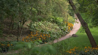 Büyük şehir parkı yeşil çim alanı. Peyzaj çim alan ve yeşil çevre Parkı kullanım doğal arka plan olarak. Güzel yeşil Şehir Parkı