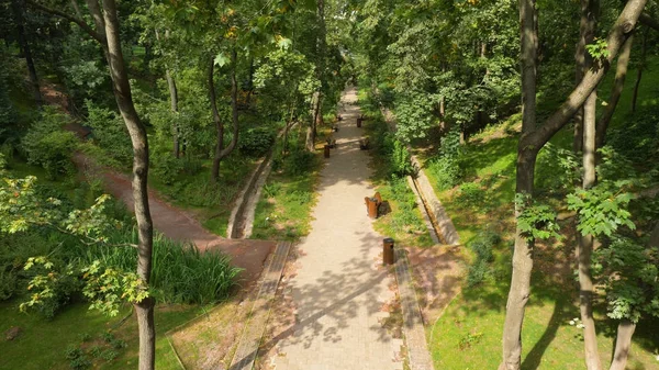 Stadsparken vid solnedgång. Landskap av gräs fält och grön miljö offentlig park användning som naturlig bakgrund. Grönt gräs fält i stora stadsparken — Stockfoto