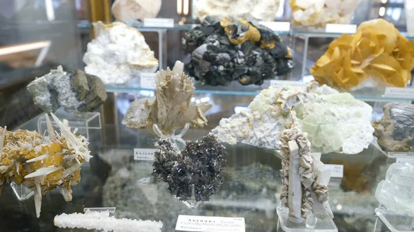 Различные коллекции минеральных камней на выставке в музее. Музей минералов — стоковое фото