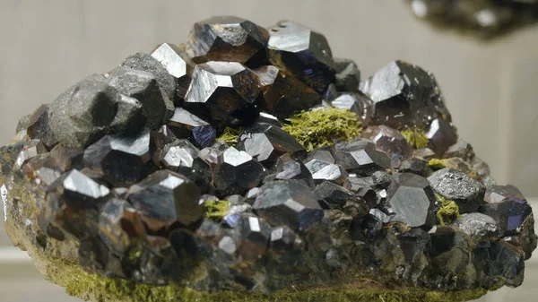 Образцы горных или минеральных пород, представленные в Музее геологии в одном экземпляре — стоковое фото