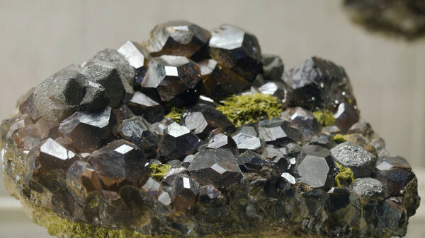 Образцы горных или минеральных пород, представленные в Музее геологии в одном экземпляре
