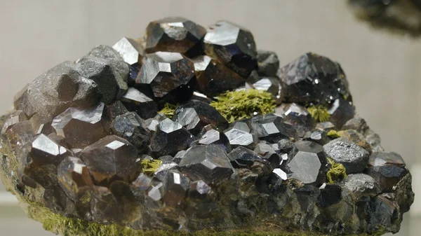 Образцы горных или минеральных пород, представленные в Музее геологии в одном экземпляре — стоковое фото