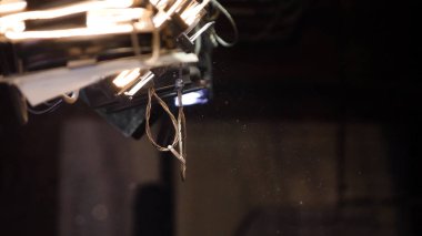 Arka aydınlatma, toz, parçacık ve karanlık bir arka plan üzerinde parlama. Işık spot toz