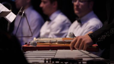Ksilofon üzerinde oynarken müzisyen kapatın. Ksilofon, müzik ve kromatik enstrüman kavramı - closeup dört Tokmaklar insan elinde, siyah elbiseli sanatçı ile ahşap çubukları üzerindeki glockenspiel