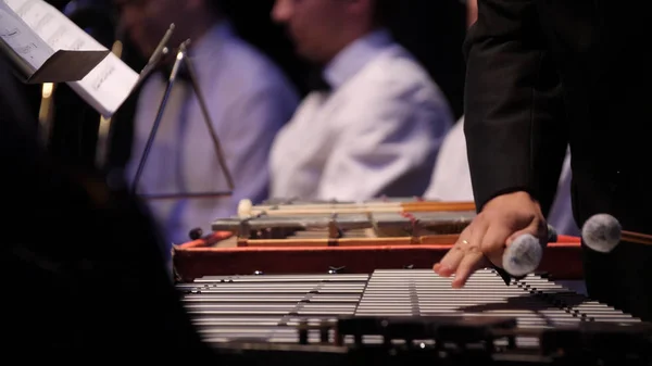 Ksilofon üzerinde oynarken müzisyen kapatın. Ksilofon, müzik ve kromatik enstrüman kavramı - closeup dört Tokmaklar insan elinde, siyah elbiseli sanatçı ile ahşap çubukları üzerindeki glockenspiel — Stok fotoğraf