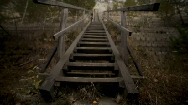 Hombre hombre subiendo escaleras. Filmación. Los antiguos escalones de madera en una colina que se eleva a cada lado de la hierba. Escaleras de madera en una colina de hierba — Foto de Stock