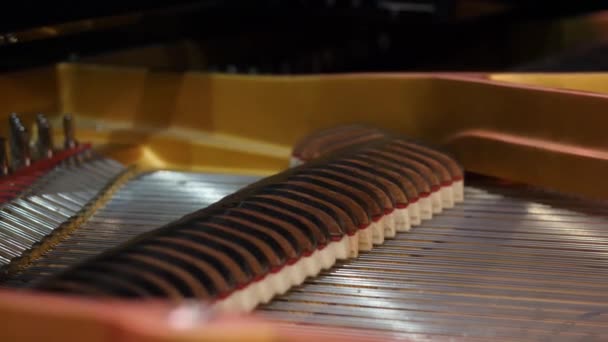 Instrumento musical abstracto: cuerdas para piano y piano. Tocando el piano cuando se abre la tapa, las cuerdas suben y bajan — Vídeo de stock