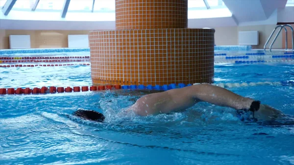 Nadador masculino profesional practicando en piscina. Joven deportista nadando en la piscina. Movimiento lento —  Fotos de Stock