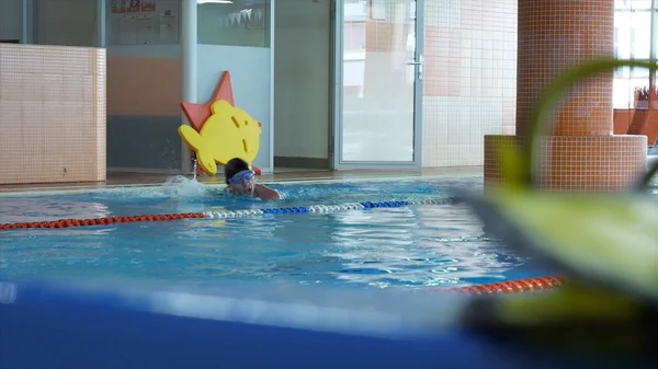 Swimming pool sport crawl swimmer athlete banner. Man doing freestyle stroke technique in water pool lane training for competition. Healthy active lifestyle. Slow motion