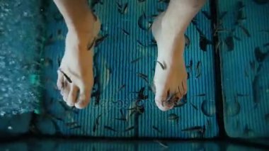 Balık Spa pedikür - pedikür tedavi. Cilt Bakımı balık spa güzellik bakımı zevk biri kapatın. Ayak içinde belgili tanımlık akvaryum balık Gara rufa
