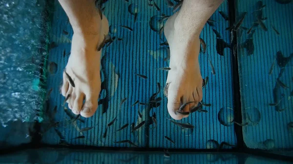 Fish pedicure Spa - zabieg pedicure. Zbliżenie na człowieka, ciesząc się do codziennej pielęgnacji urody spa ryb. Stopy w akwarium z rybami Gara rufa — Zdjęcie stockowe