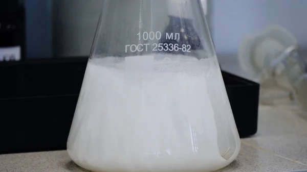 Frasco cónico Erlenmeyer de vidrio de laboratorio lleno de líquido químico blanco para un experimento químico en un laboratorio de investigación científica — Foto de Stock