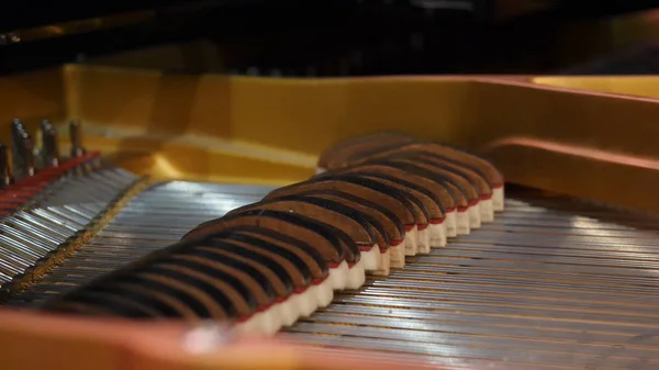 Hudební nástroj Abstrakt: klavír a klavírní řetězce. Při otevření víka, hra na klavír, řetězce vzestup a pád — Stock fotografie