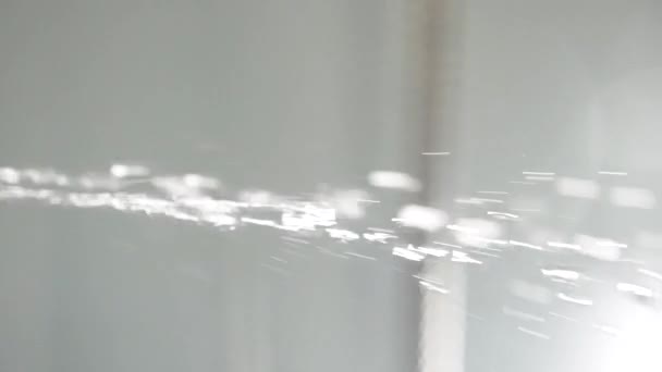 Water drops from shower head in bathroom on white background. Splashing water on a white background. Falling water drops — Stock Video