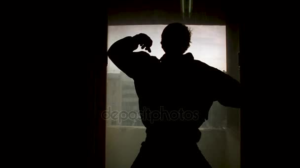 ウィンドウの前面にふけのシルエット。映像。パイロンの窓の近くにプロの男性ポール ダンサーの影. — ストック動画