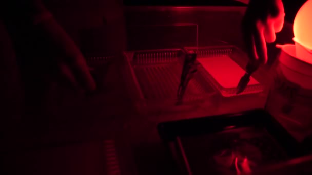 Fotógrafo de proceso impresión cuarto oscuro usando ampliadora para ... Fotógrafo de proceso impresión cuarto oscuro usando ampliadora para ...