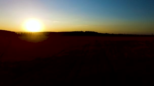 Mooie luchtfoto uit drone suikerriet veld met avondrood natuur landschap-achtergrond. Majestueuze zonsondergang in de natuur landschap. Luchtfoto panorama van zomer natuur landschap. — Stockvideo
