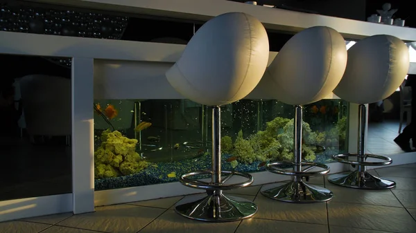 A szék üres kényelmes étteremben akvárium inspirációk. Fehér bar székek állni közelében egy fehér akvárium inspirációk — Stock Fotó