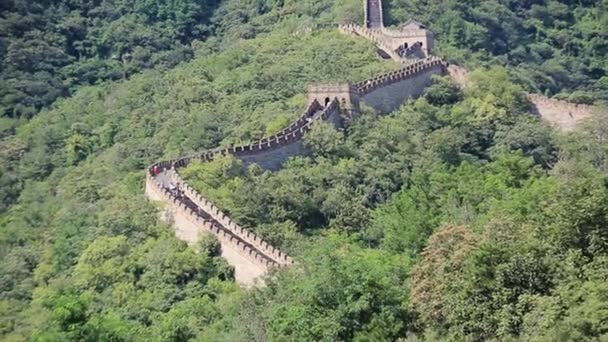 Grande muraglia cinese in estate con bel cielo. Famosa Grande Muraglia Cinese, sezione Mutianyu, situata vicino alla città di Pechino — Video Stock