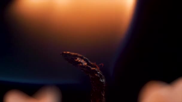 Detalhe de perto de cera branca acendeu chama de vela e pavio em fundo preto isolado. andle luzes macro. close-up de vela ardente isolado no fundo preto uma chama à noite macro brilhantemente em — Vídeo de Stock