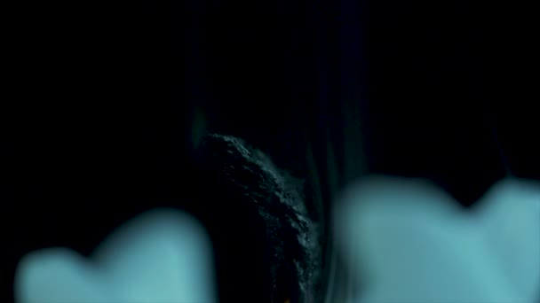 Een kaarsvlam bij nacht closeup - geïsoleerd, macro. Rode kaars branden in het zwart. Close-up van het branden van kaarsen — Stockvideo