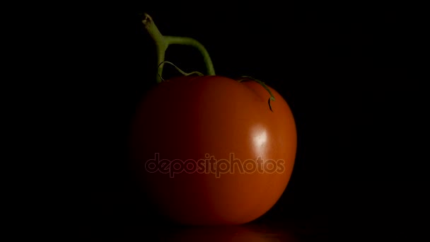 Tomate rojo sobre fondo negro. Un poco con un lado. Tomate sencillo con gotas aisladas en negro. tomate fresco sobre fondo negro — Vídeo de stock