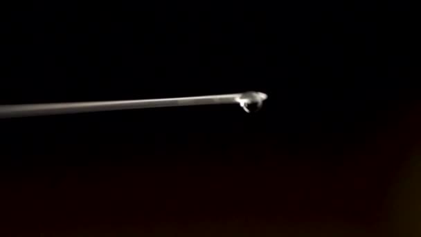 Närbild på sprutans nål med släppa isolerade på svart bakgrund. Vattendroppe från injektionsnålen. Närbild. Närbild av medicinska sprutan med läkemedlet — Stockvideo