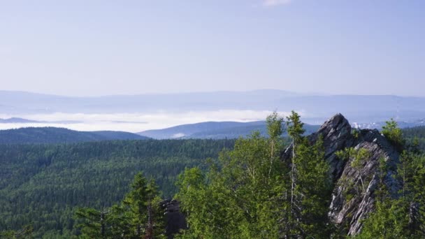 Лісовий пейзаж з туманом. Сосновий ліс. Блакитне небо на гірському пейзажі. синій колір гір під час заходу сонця. Красиві гори пейзаж і блакитне небо — стокове відео