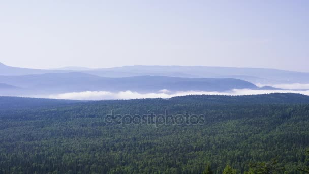 Forest landscape with fog. Pine tree forest. Blue sky on mountain landscape. blue color of mountains during sunset. Beautiful mountains landscape and blue sky — Stock Video