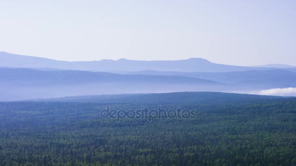霧の森の風景です。松の木の森。山の風景の青空。日没時に山の色はブルー。美しい山々 の風景と青空 — ストック動画