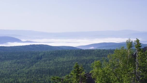 Majestoso panorama de montanhas verdes com raios de sol. Montanhas no início da manhã névoa. paisagem de verão. Nevoeiro da floresta de coníferas rodeia o topo da montanha sob a luz do pôr do sol — Vídeo de Stock