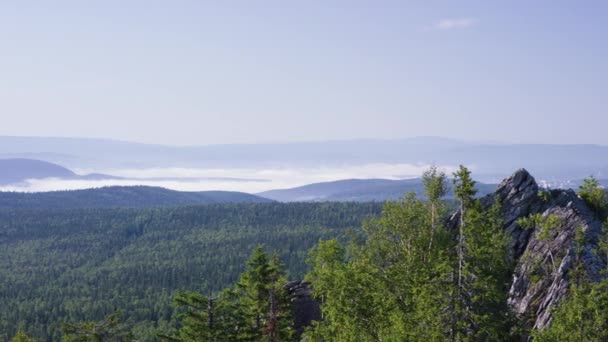 Величественная панорама зеленых гор с солнечными балками. Горы в утреннем тумане. летний пейзаж. Туман хвойных лесов окружает вершину горы в лучах заката — стоковое видео