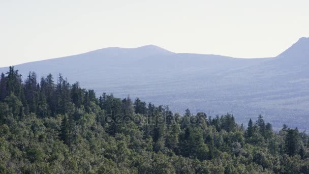 Majestuoso panorama de montañas verdes con vigas soleadas. Montañas en la niebla de la mañana. paisaje de verano. Niebla del bosque de coníferas rodea la cima de la montaña con luz del atardecer — Vídeos de Stock