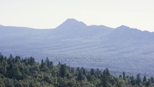 Majestuoso panorama de montañas verdes con vigas soleadas. Montañas en la niebla de la mañana. paisaje de verano. Niebla del bosque de coníferas rodea la cima de la montaña con luz del atardecer — Vídeos de Stock