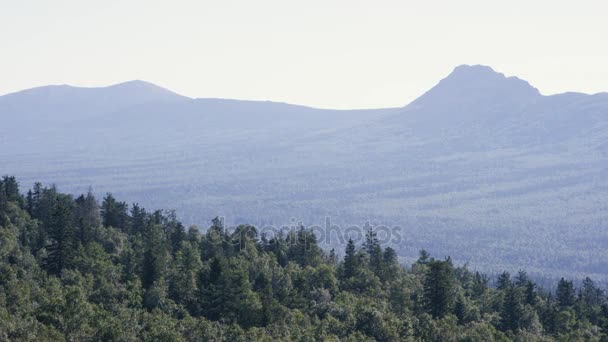 Gyönyörű kilátás a Pieniny Nemzeti Parkban a napsütéses reggel és a köd. Csodálatos természetes nézetet a három nővér hegyi köd-Blue Mountains. — Stock videók