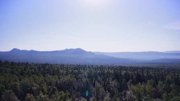 Gyönyörű kilátás a Pieniny Nemzeti Parkban a napsütéses reggel és a köd. Csodálatos természetes nézetet a három nővér hegyi köd-Blue Mountains. — Stock videók