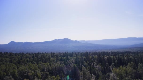 Gyönyörű kilátás a Pieniny Nemzeti Parkban a napsütéses reggel és a köd. Csodálatos természetes nézetet a három nővér hegyi köd-Blue Mountains. — Stock videók